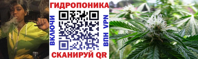 Бошки марихуана сатива Купить где Еманжелинск